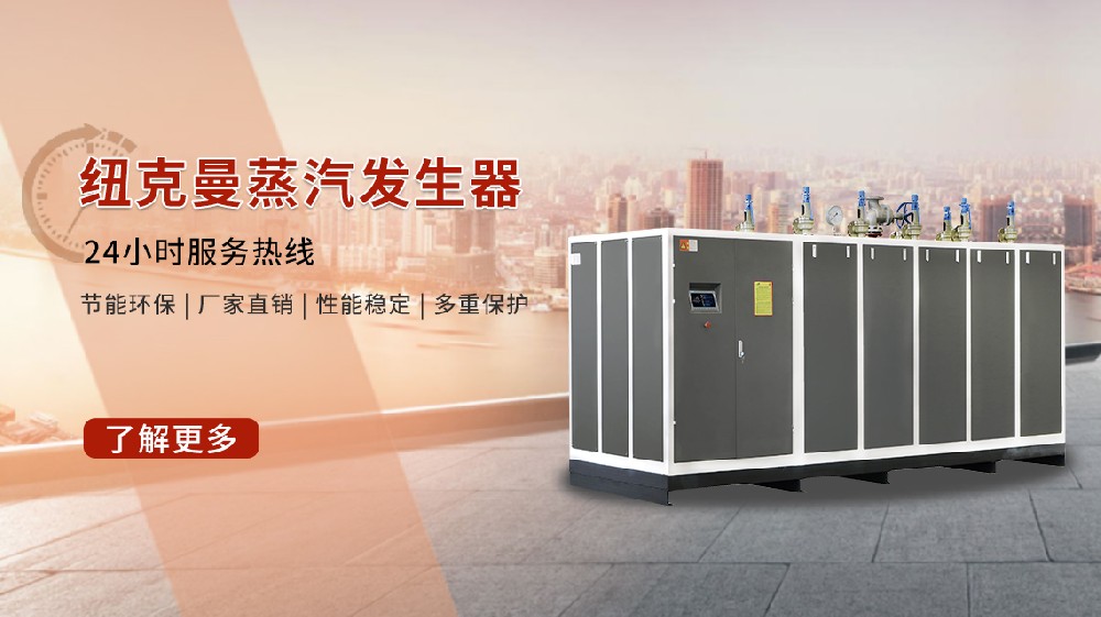 2025 年蒸汽發生器十大排名，選對不迷路！
