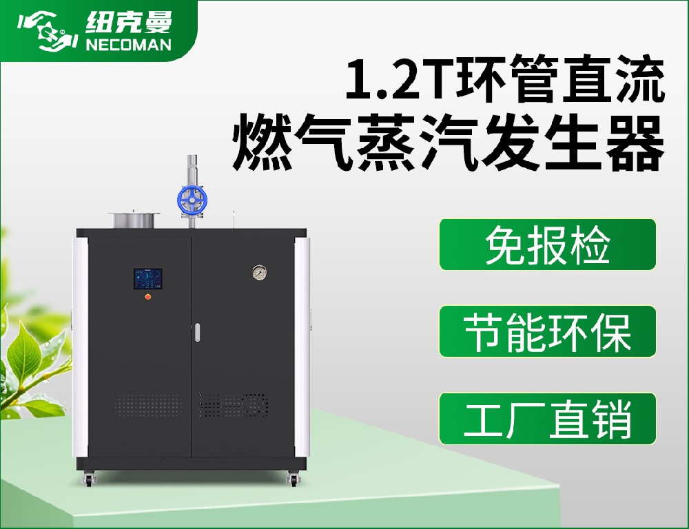 1.2噸 燃氣燃油蒸汽發(fā)生器